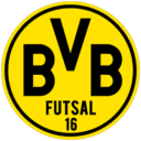 Escudo da equipe Borussia FS